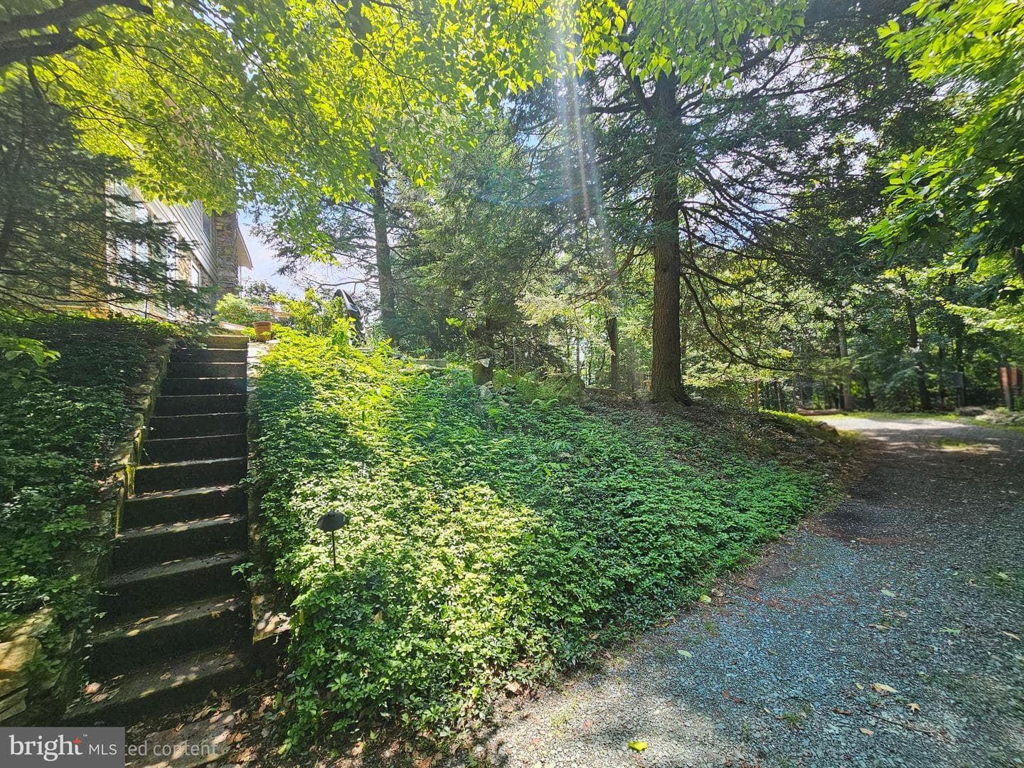 13245 Buena Vista Road photo 23