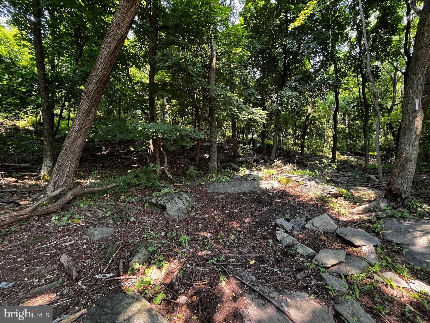 14328 Buchanan Trail E #18 photo 35