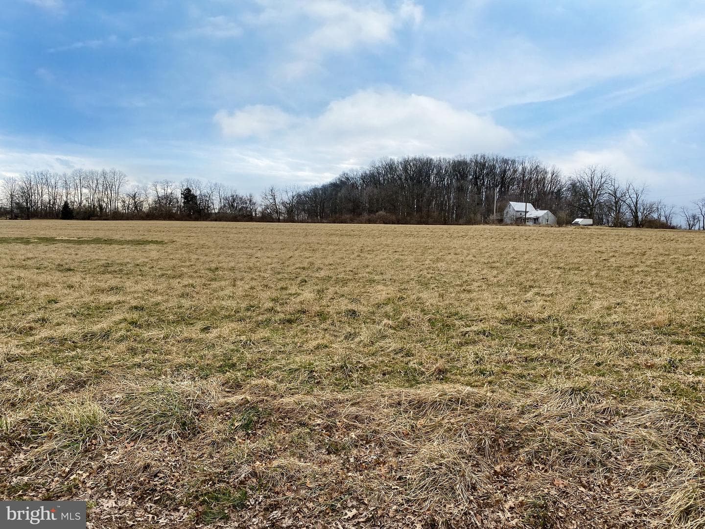 2101 Kramer Mill Road photo 20