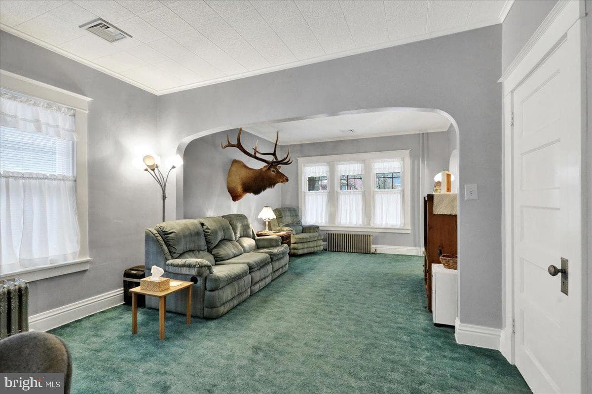 368 Donegal Springs Road photo 16