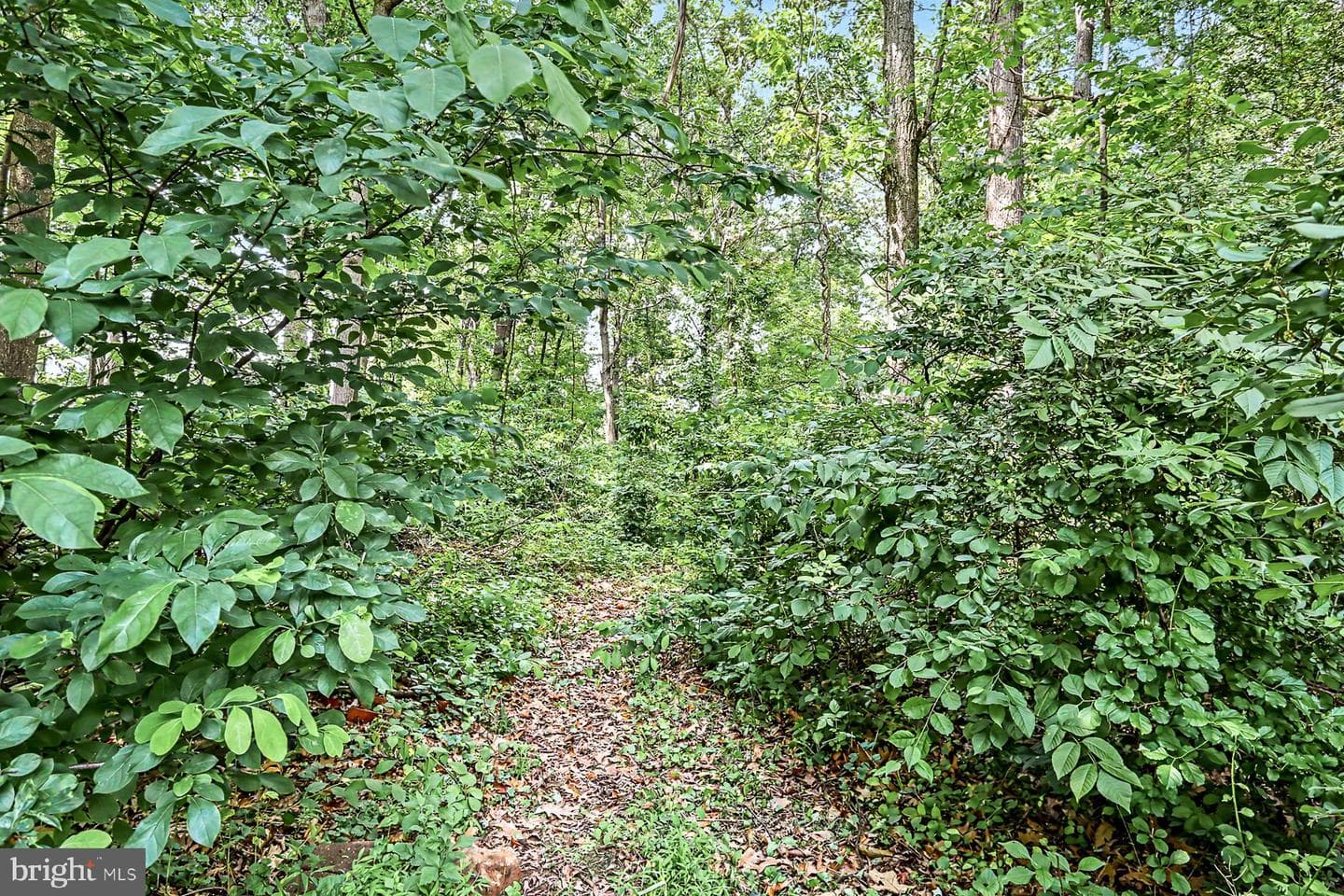6130 Poplar Path photo 47