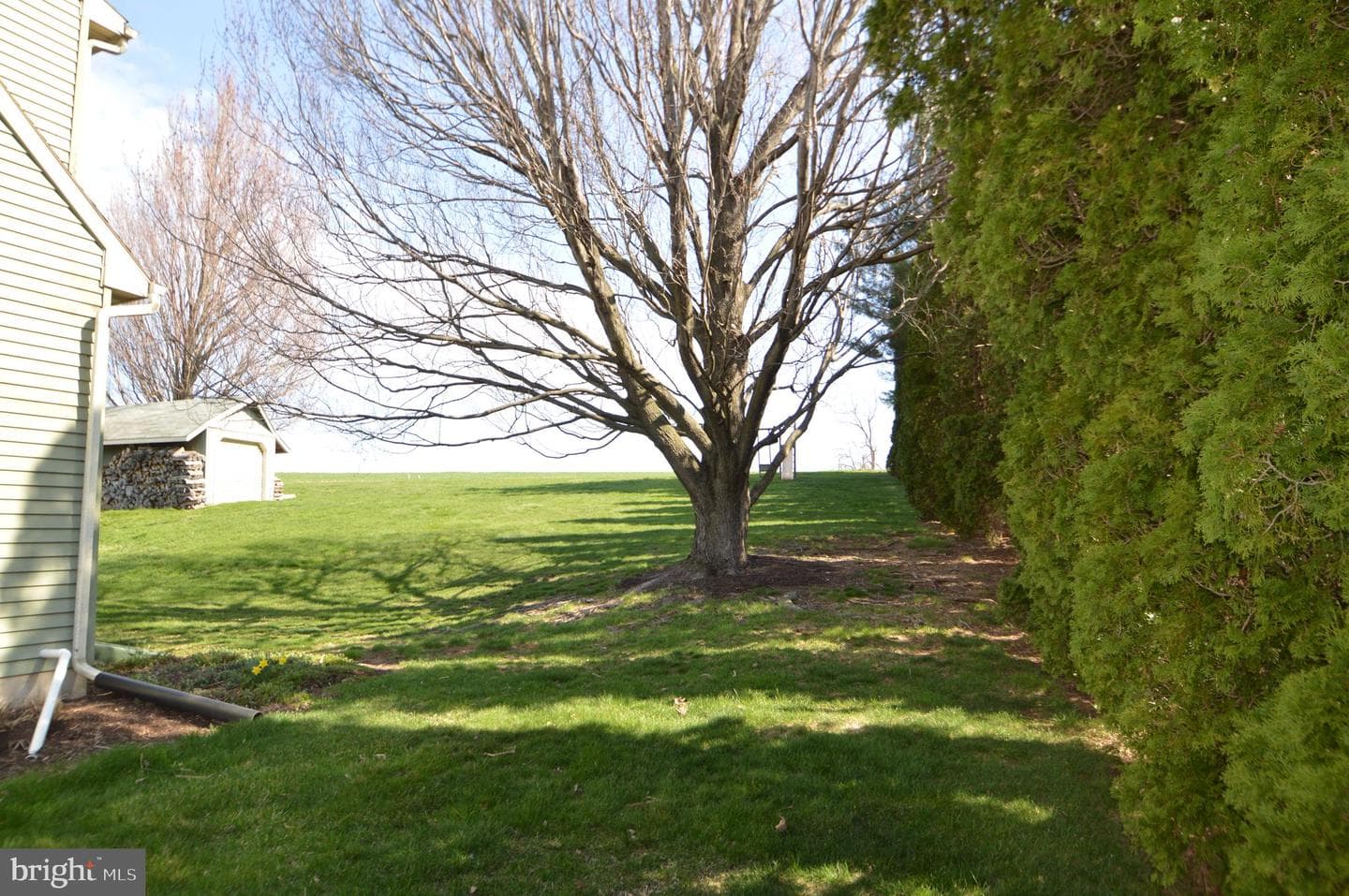 901 Cool Spring Road photo 8