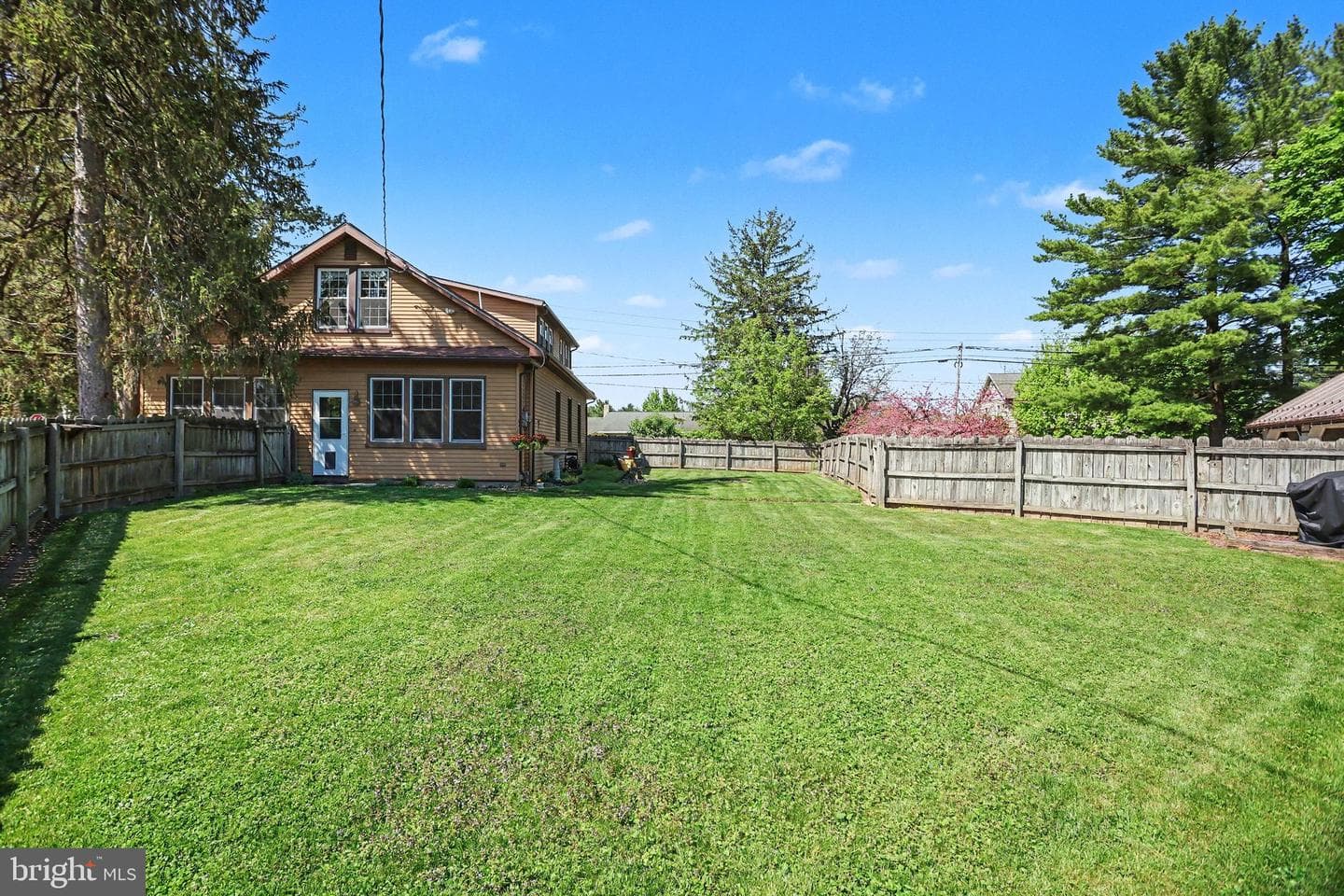 1203 Diamond Street photo 23