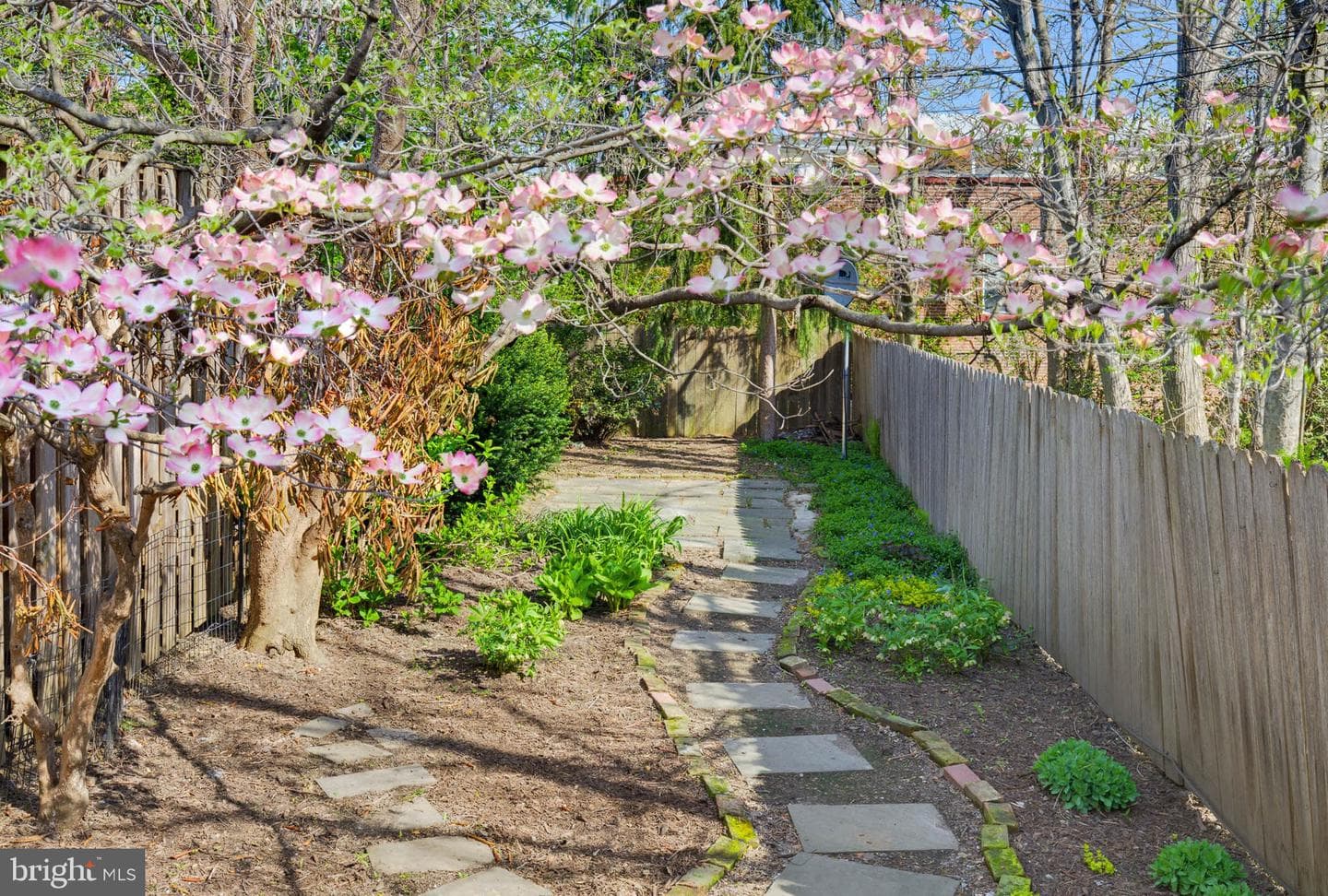 211 E Chestnut Street photo 33