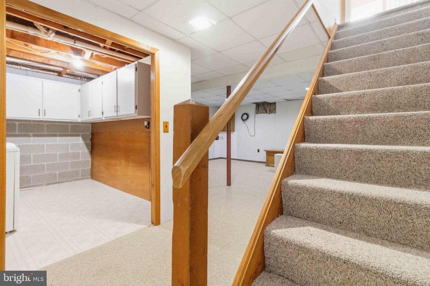 14 Cranfield Court photo 20