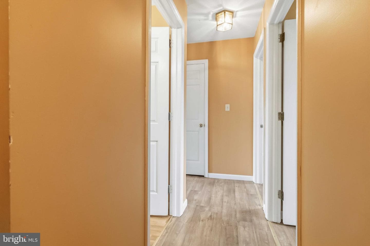 14 Cranfield Court photo 5