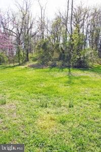 527 Baumgardner Road photo 9