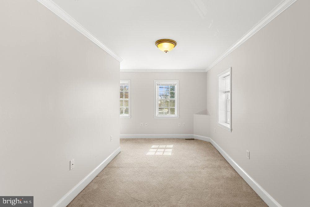 1377 Apple Street photo 19