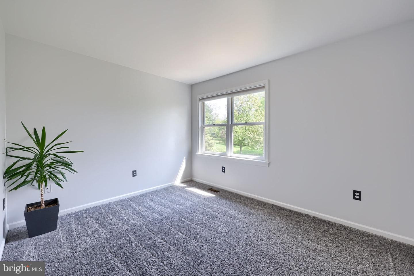 354 W Charlotte Street photo 41