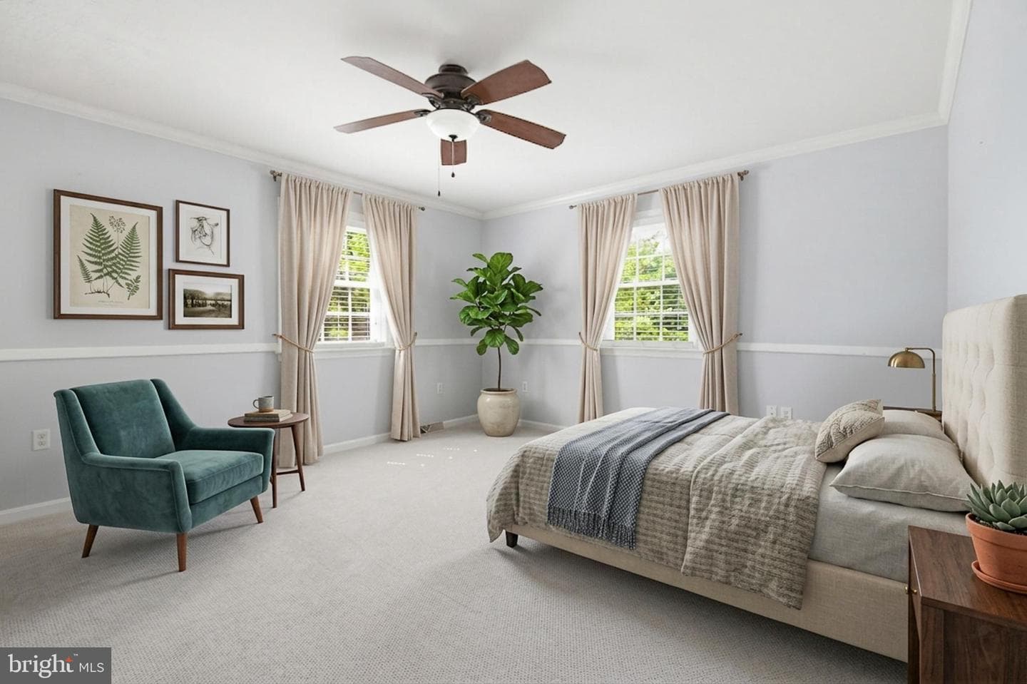 35 Pinewood Avenue photo 13