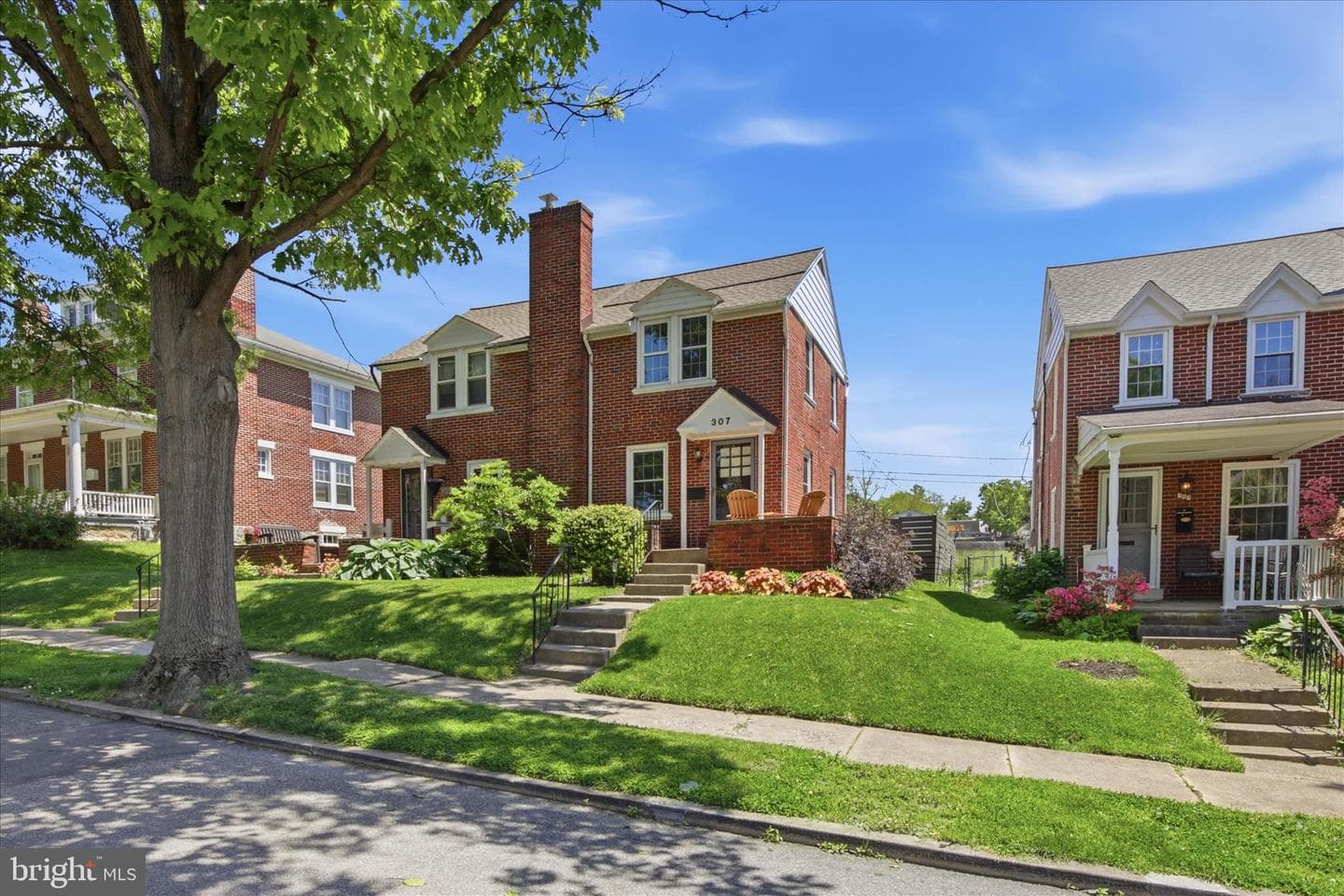 307 Atkins Avenue photo 3