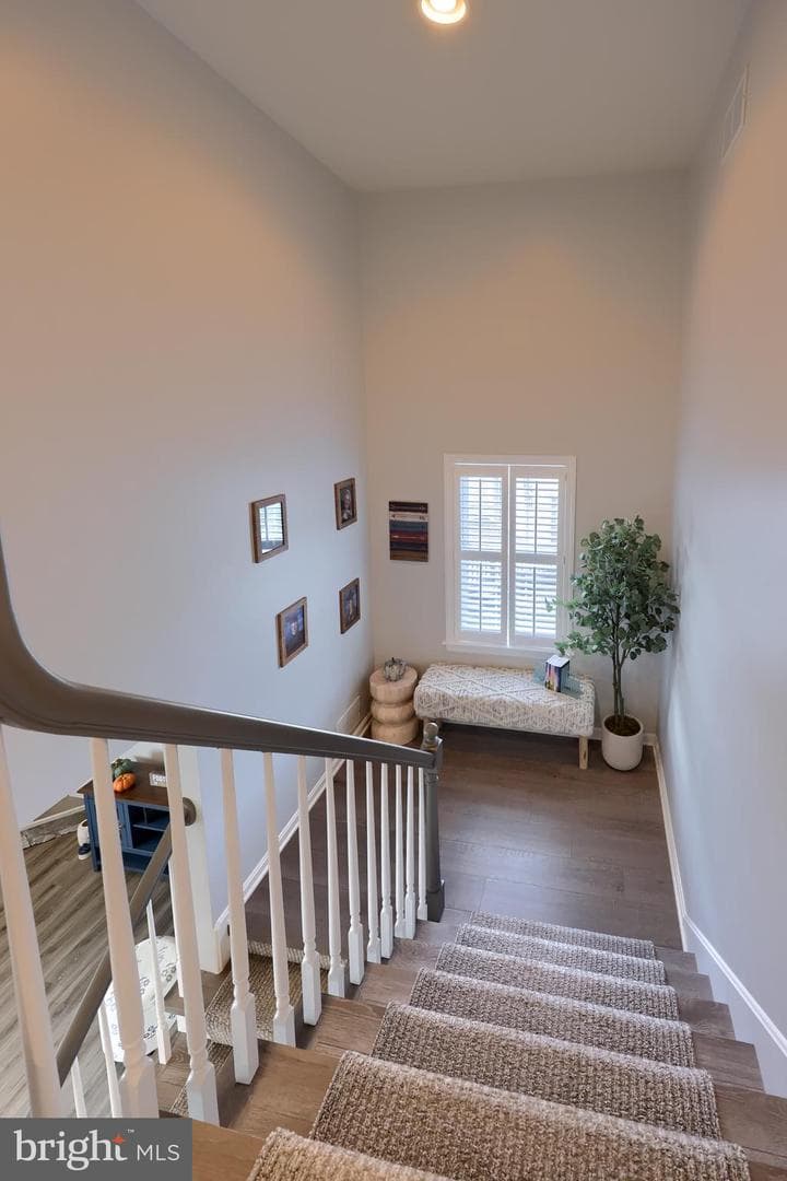 119 Julia Lane photo 35