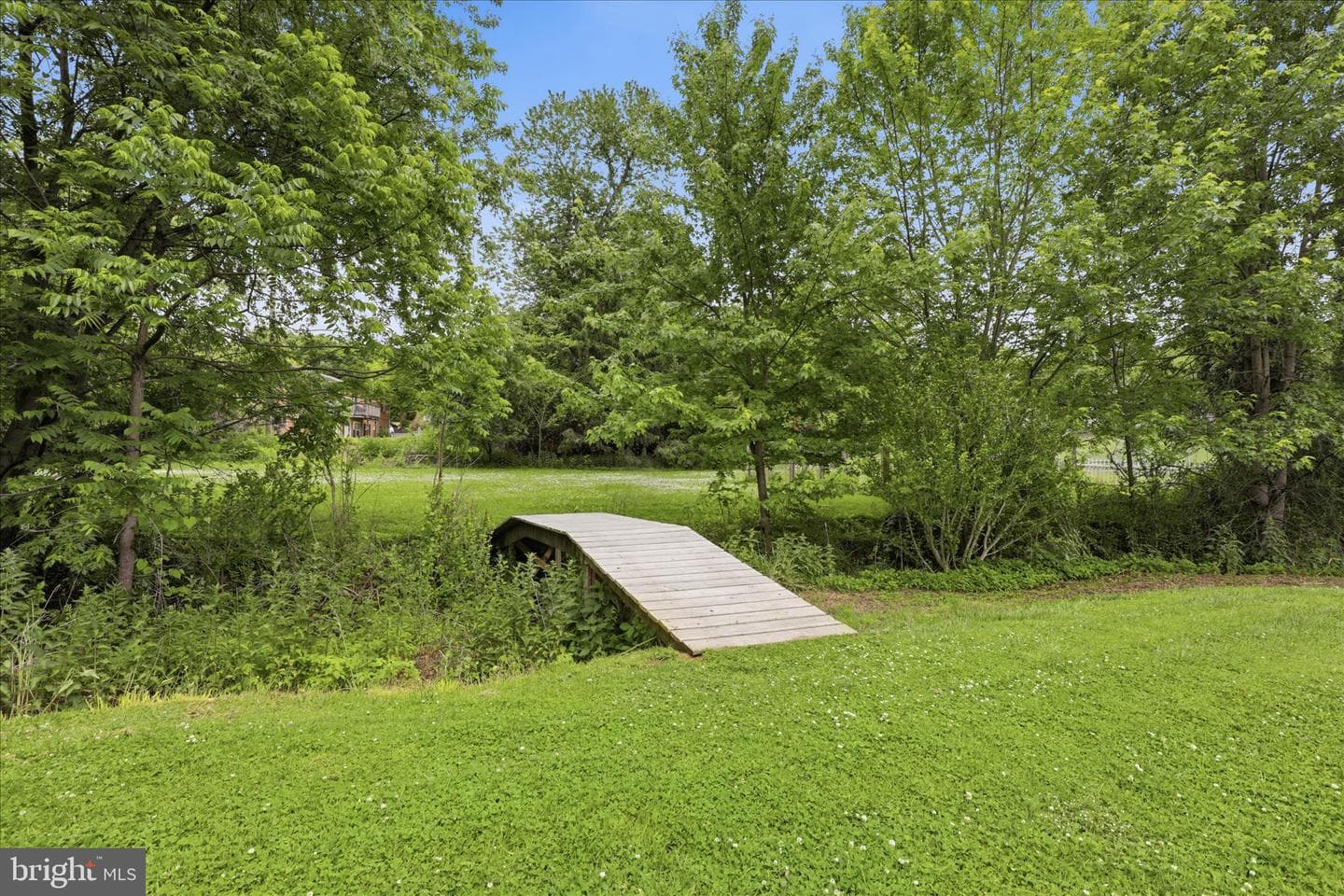 169 School House Road photo 36