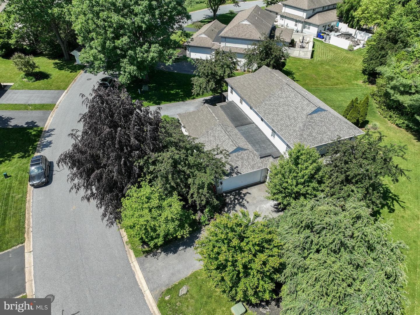 3 Laurelgate Place photo 22