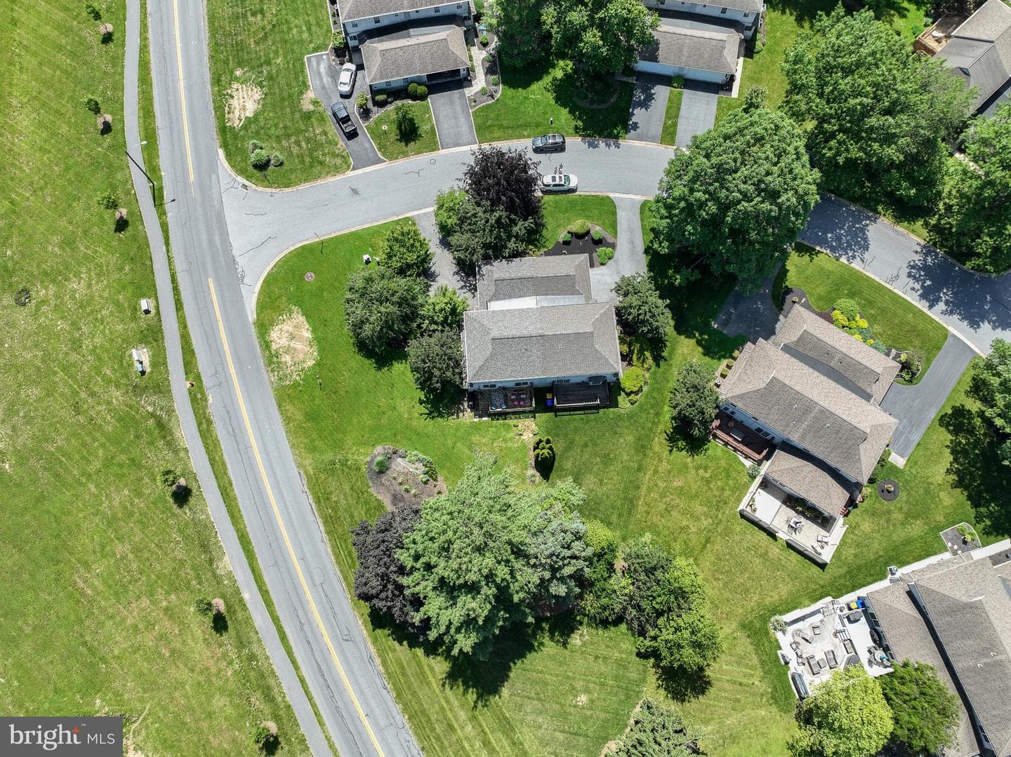 3 Laurelgate Place photo 24