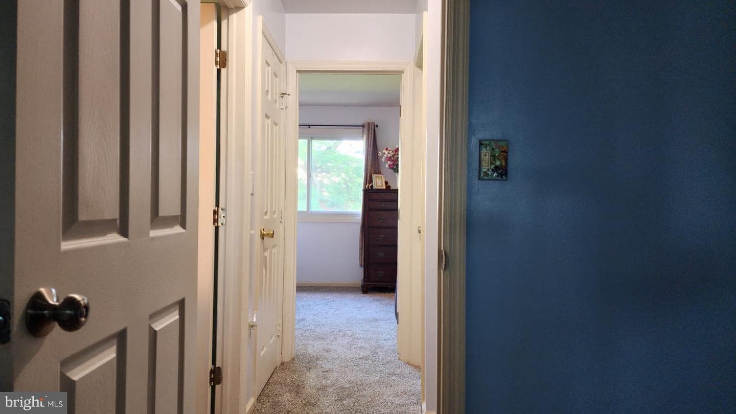 53 Oriole Drive photo 25