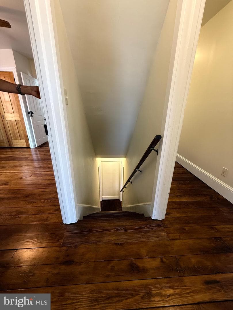 239 Washington Avenue photo 18