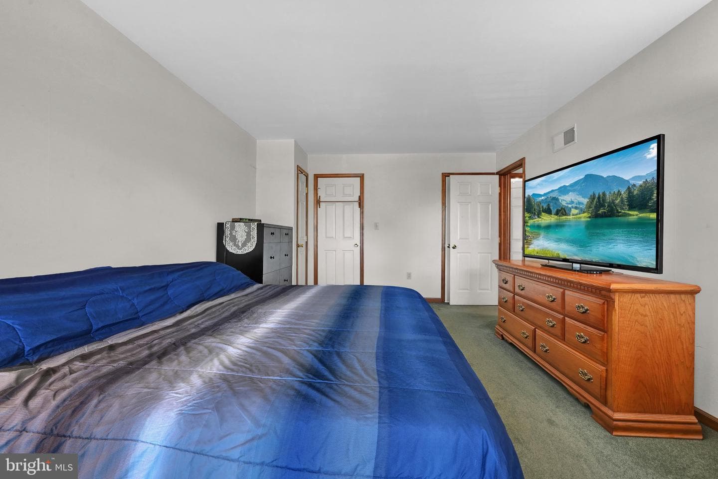 218 Mason Drive photo 17