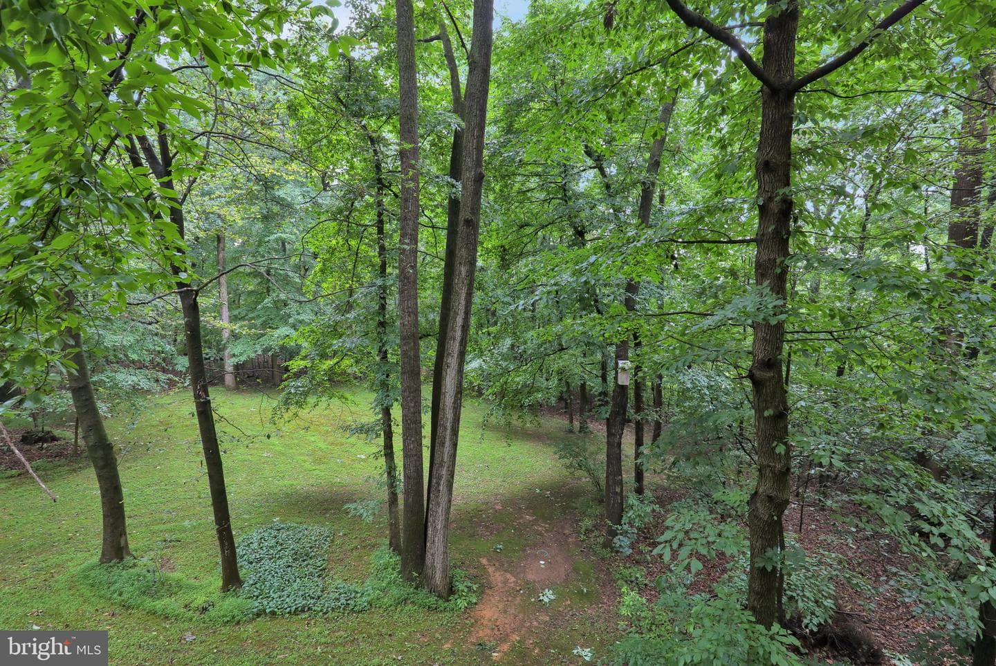 2917 Oak Lane photo 14