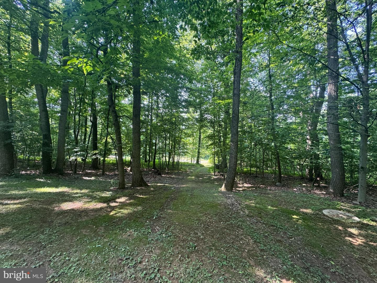 2917 Oak Lane photo 23