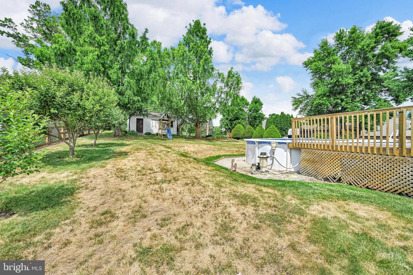 217 Spruce Street photo 37
