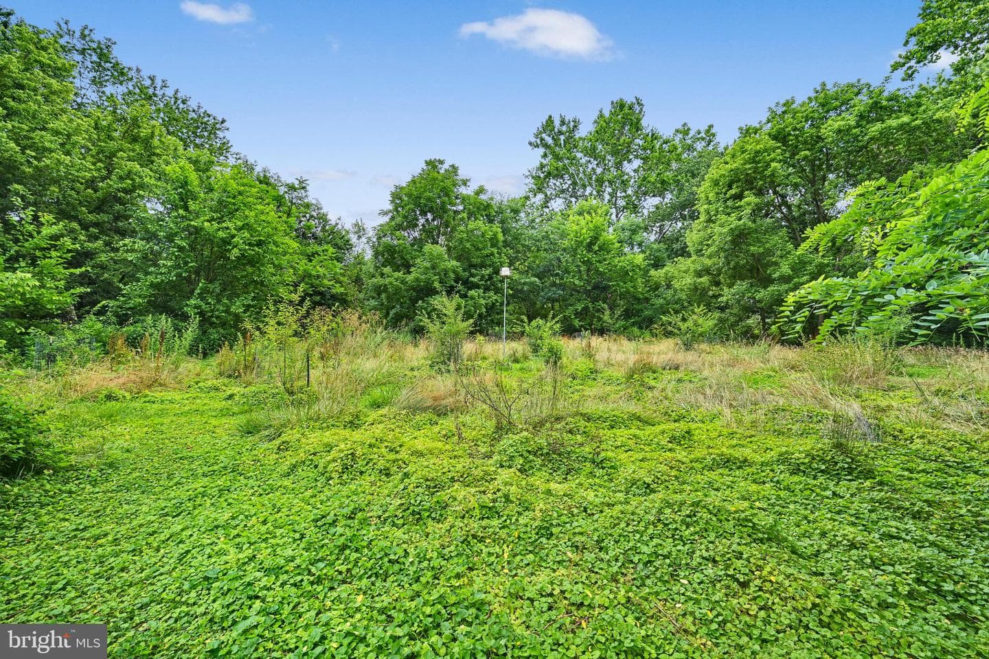 2694 Charlestown Road photo 30