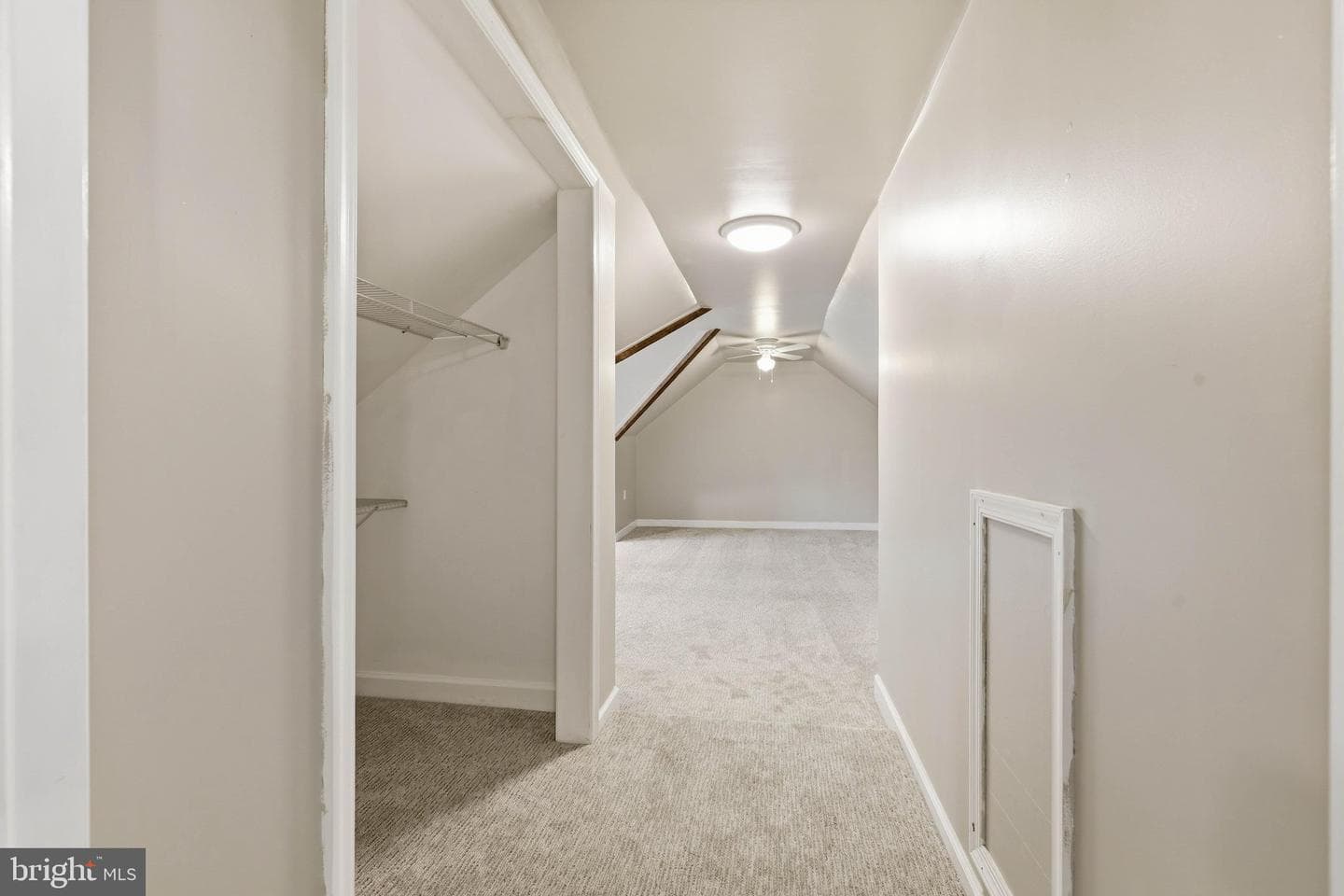 222 Mount Joy Street photo 55