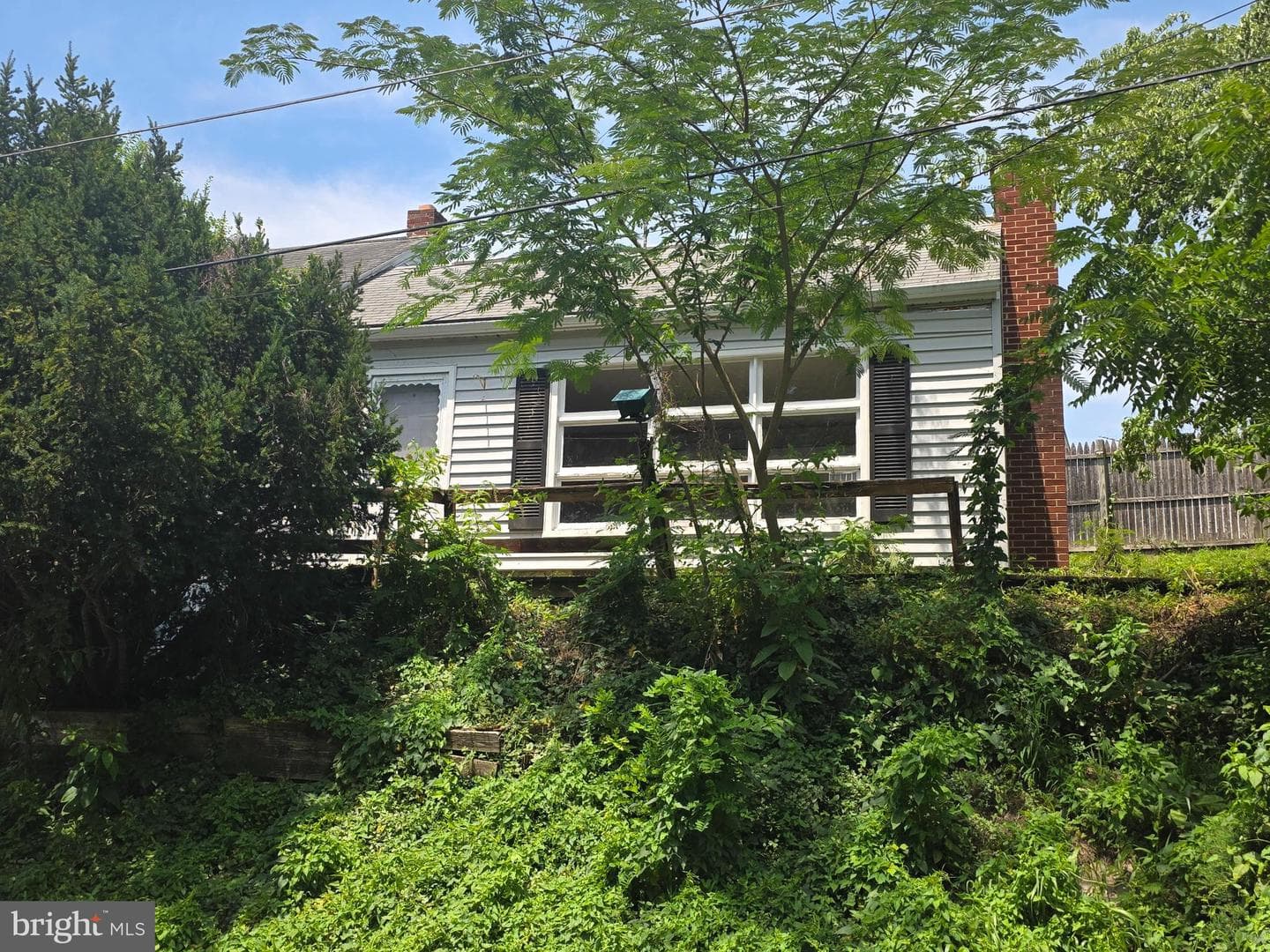 317 E Washington Street photo 3