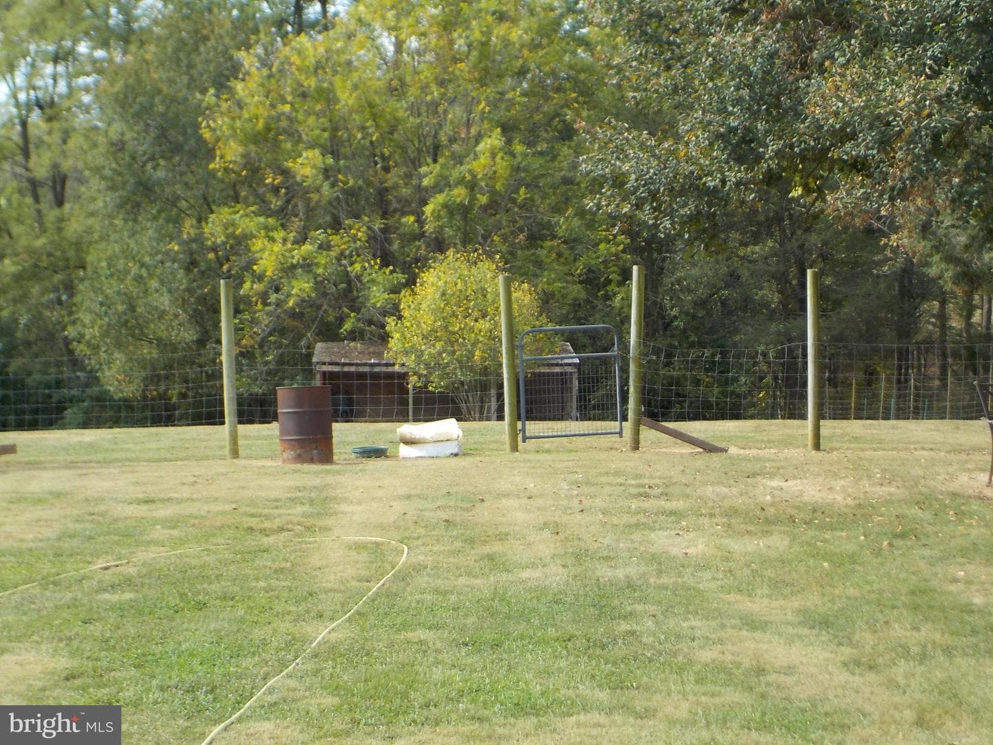 1443 Shumaker Road photo 9