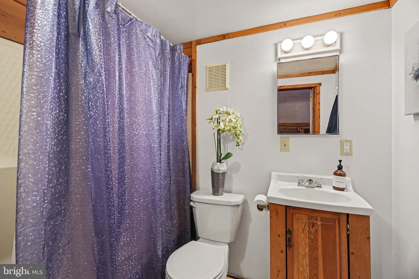 318 Linden Street photo 18