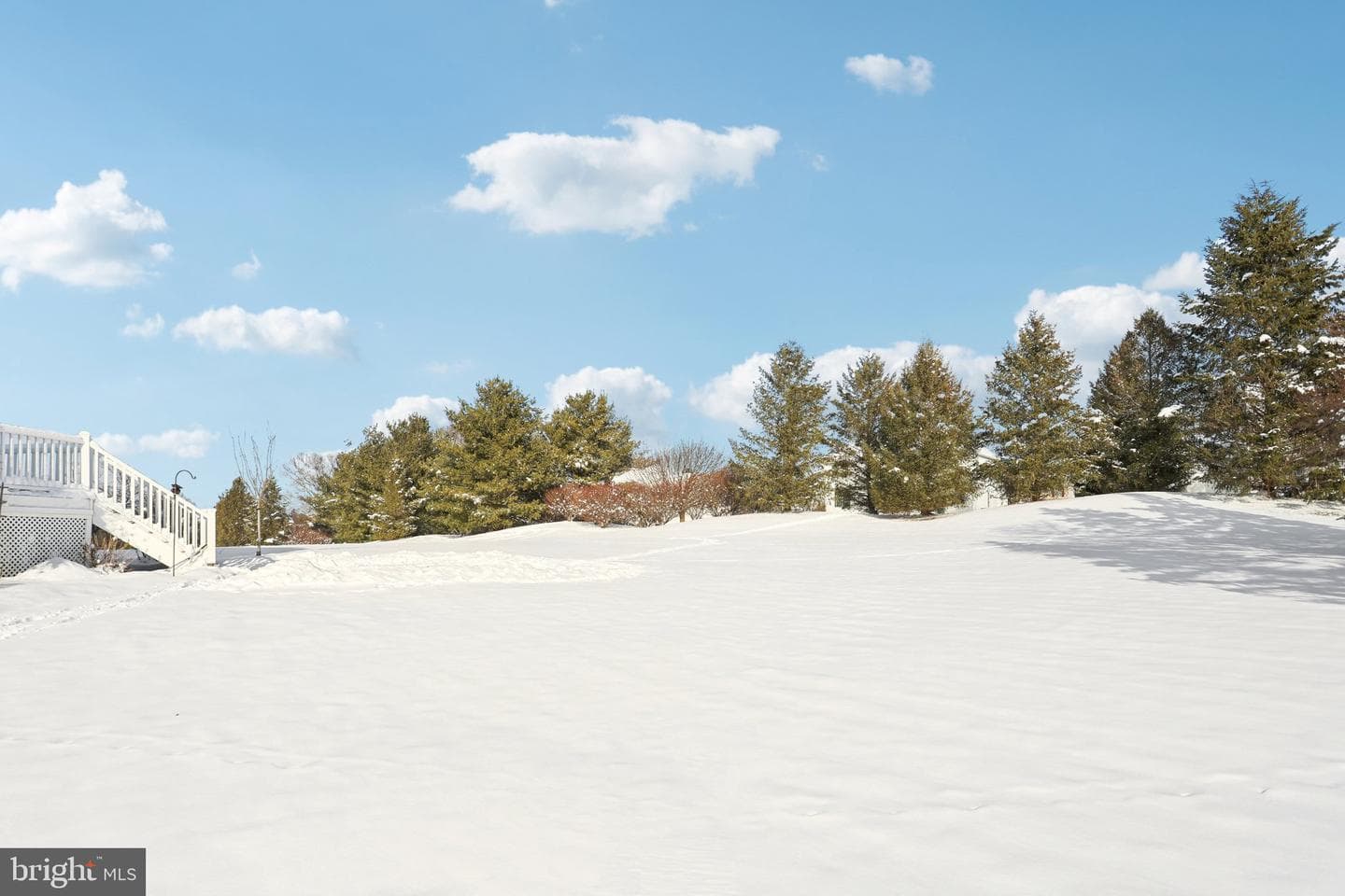 2509 Ludwig Court photo 46