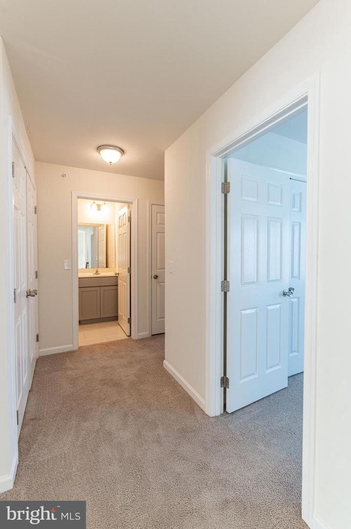 164 Maureen Lane photo 25