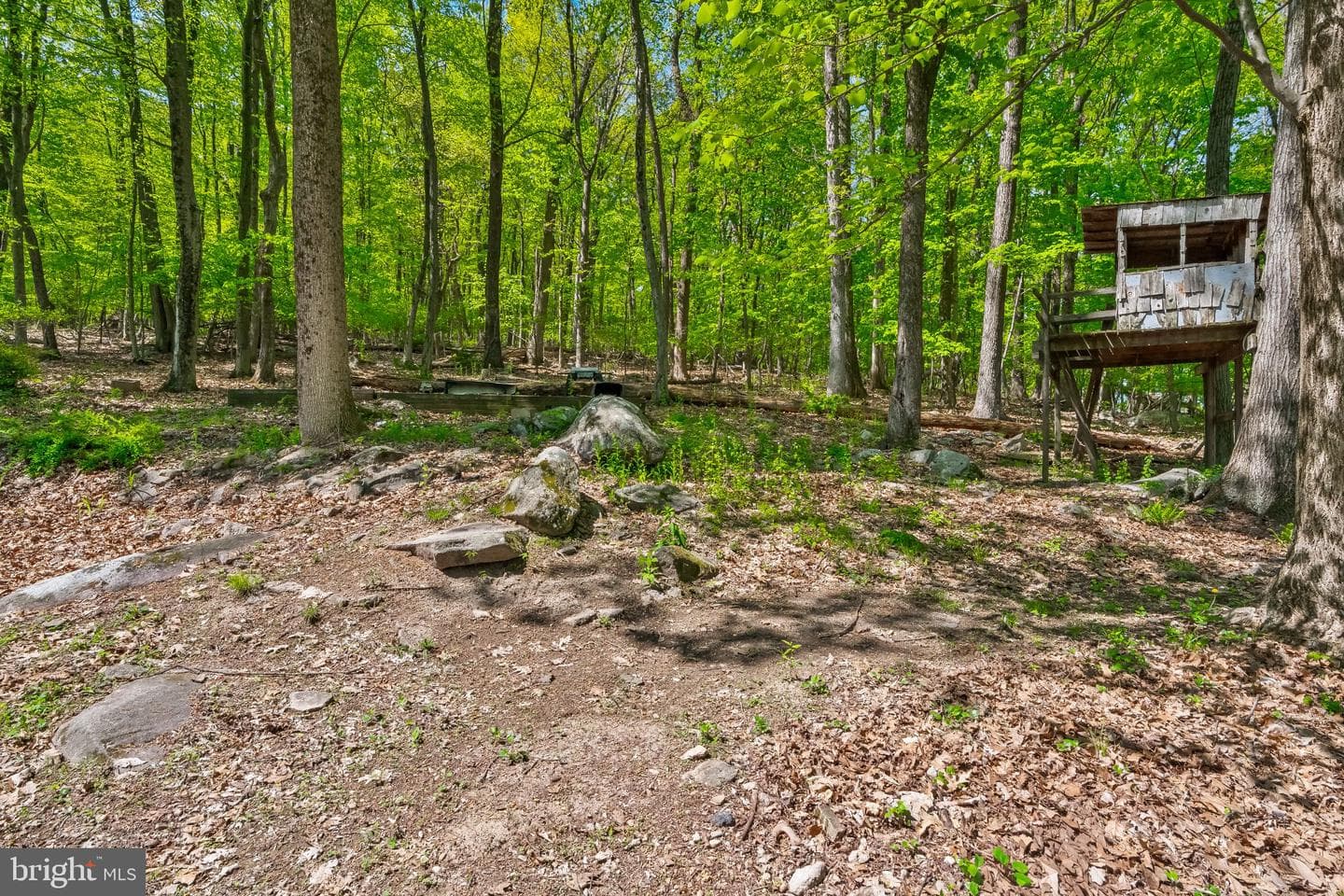 1620 Bobalew Trl photo 34