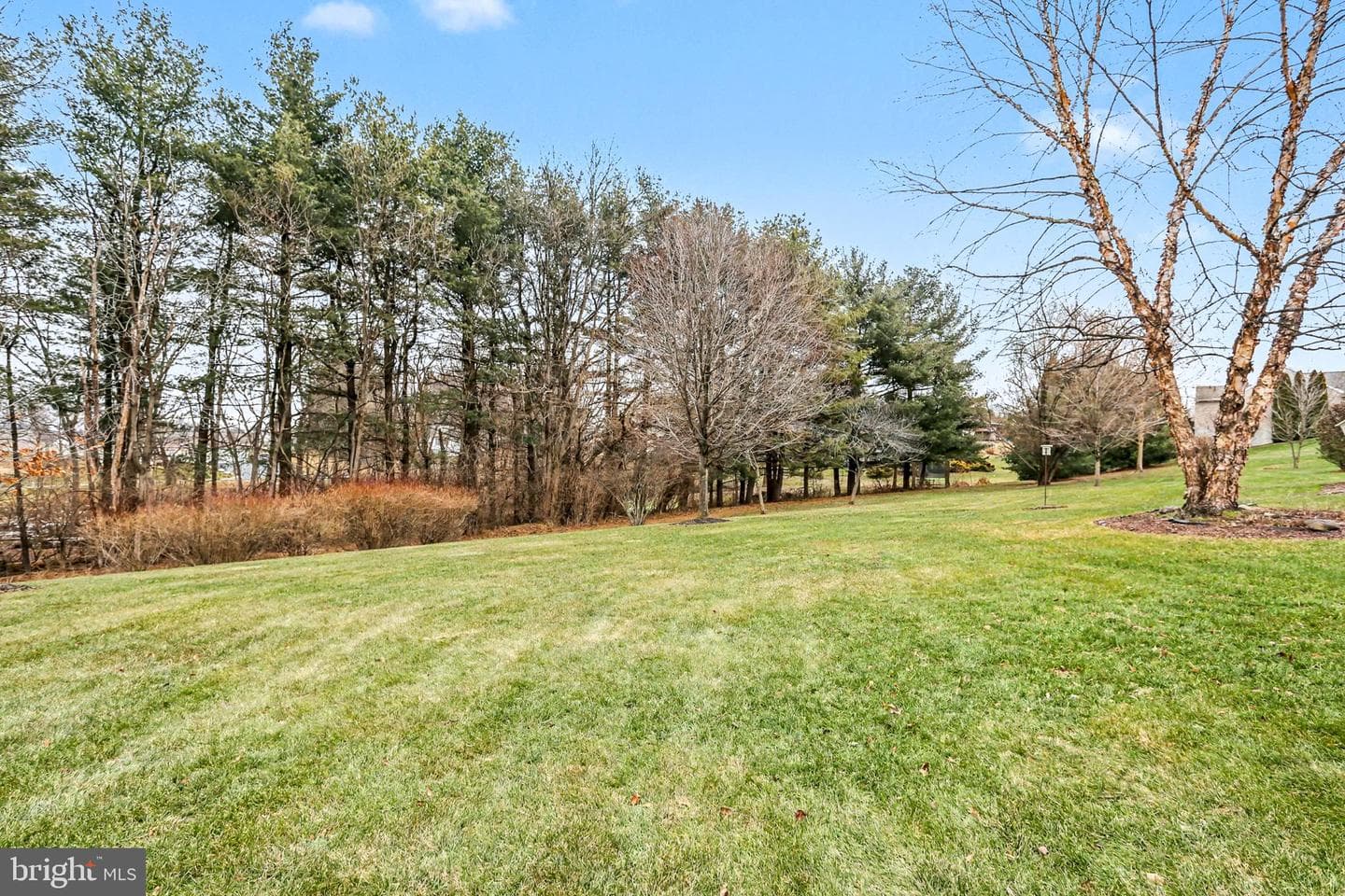 905 Walnut Crest Dr L-0064 Drive photo 46