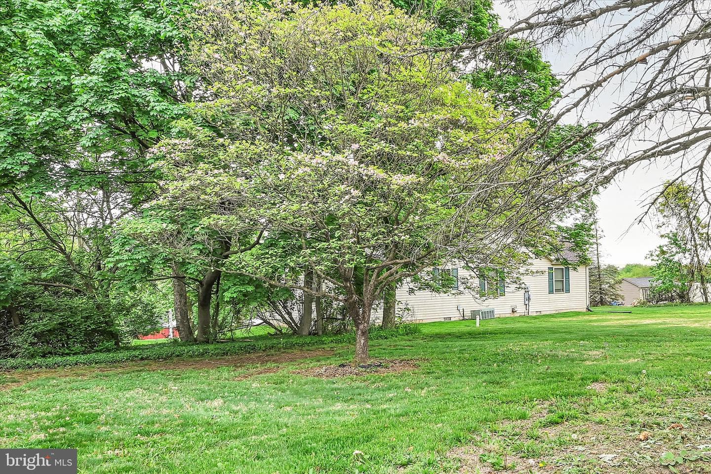 720 Kimmerlings Road photo 29