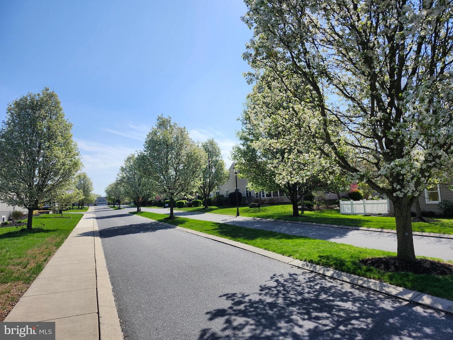 1029 Alden Way photo 46