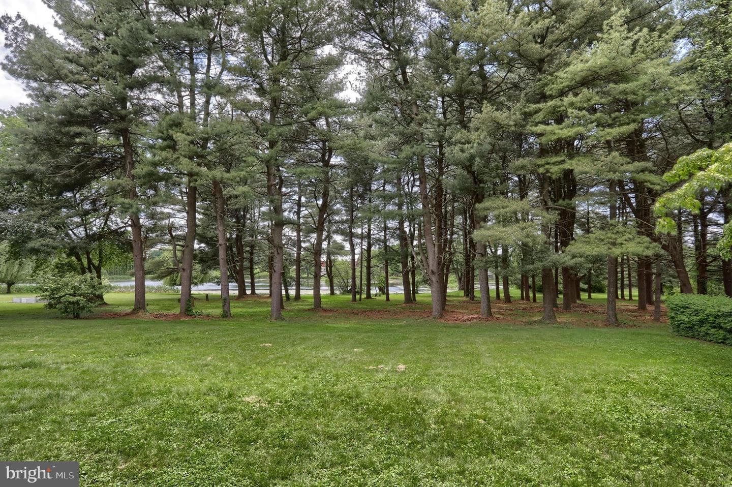 235 Narrows Drive photo 7