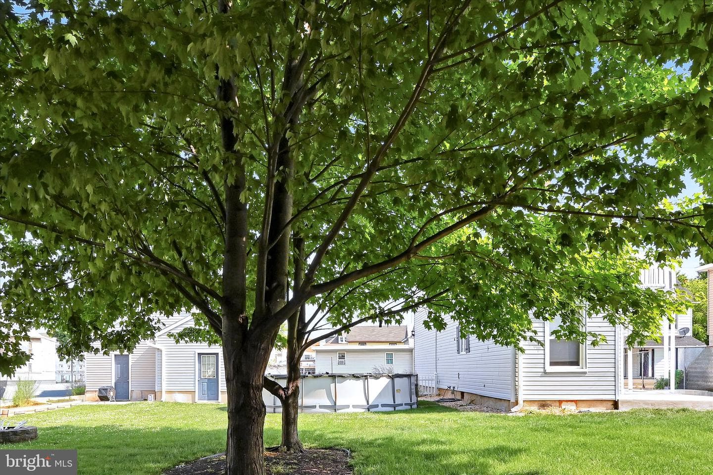 24 Folmer Street photo 31