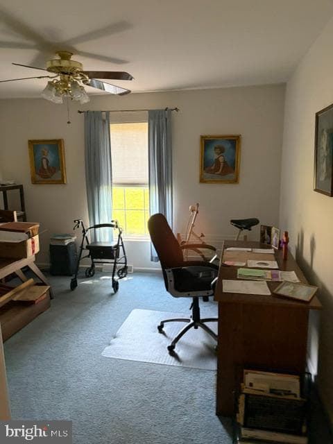 602 Mulberry Lane photo 11
