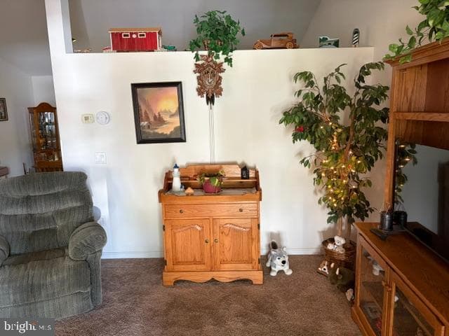 602 Mulberry Lane photo 8
