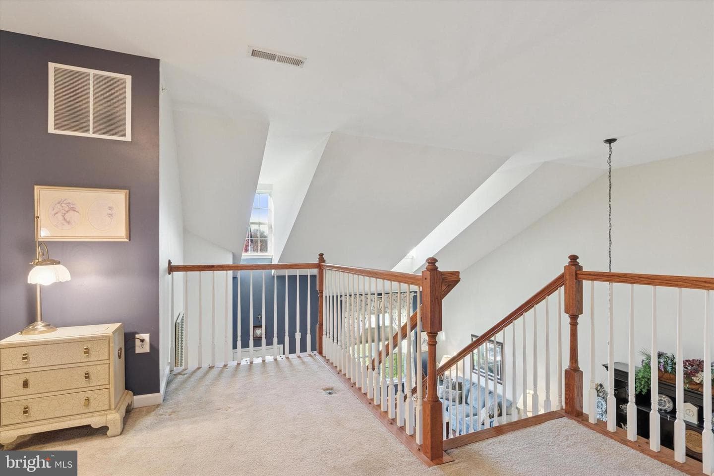 116 Brindle Court photo 24