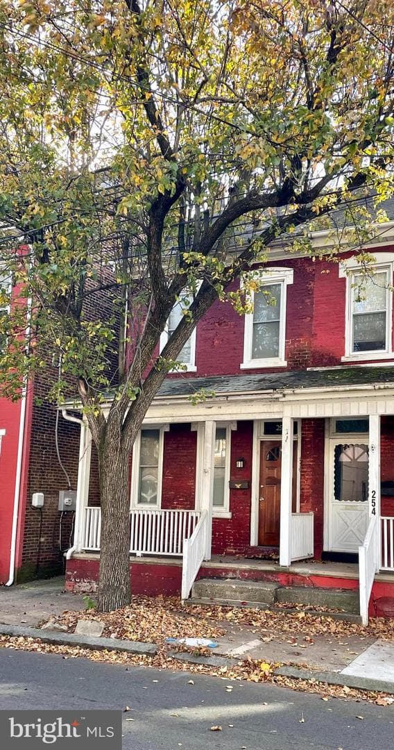 256 Beech Street photo 4