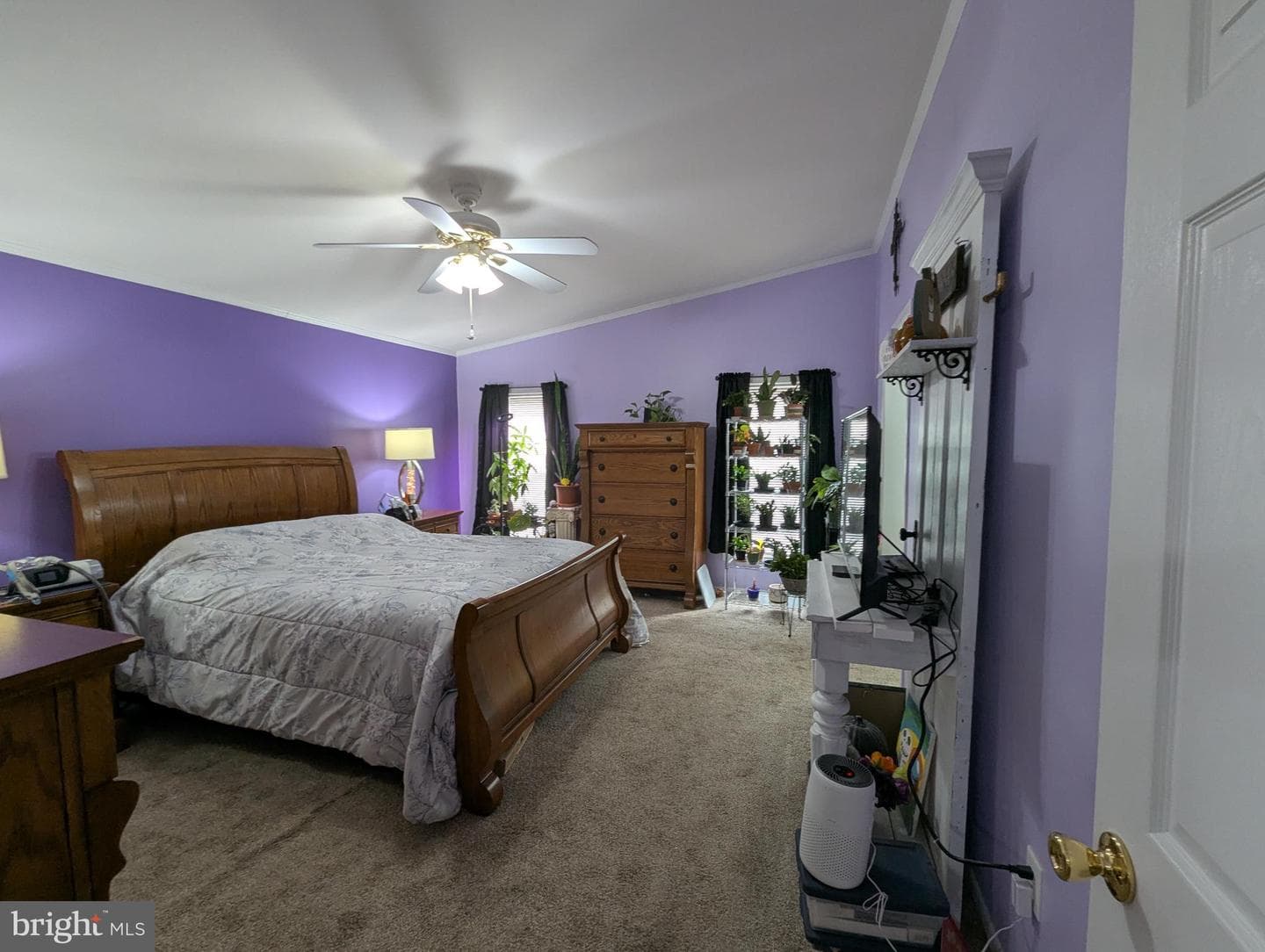 248 Williams Lane photo 18