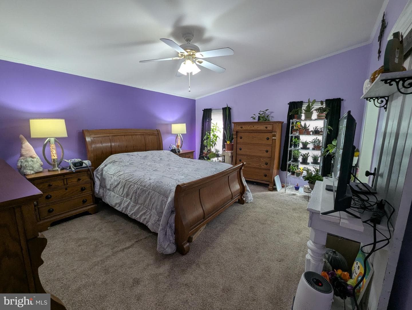 248 Williams Lane photo 19