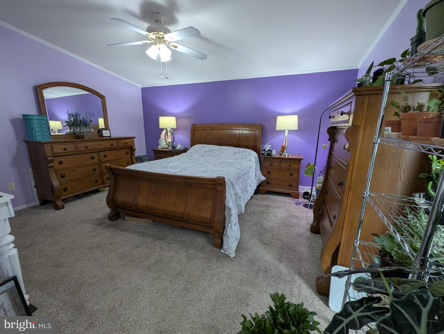 248 Williams Lane photo 20