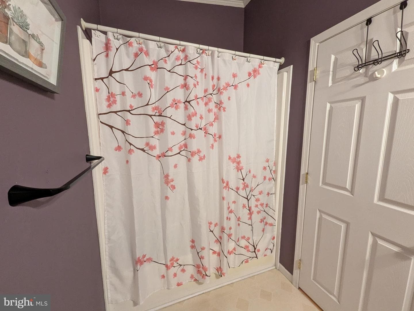 248 Williams Lane photo 8