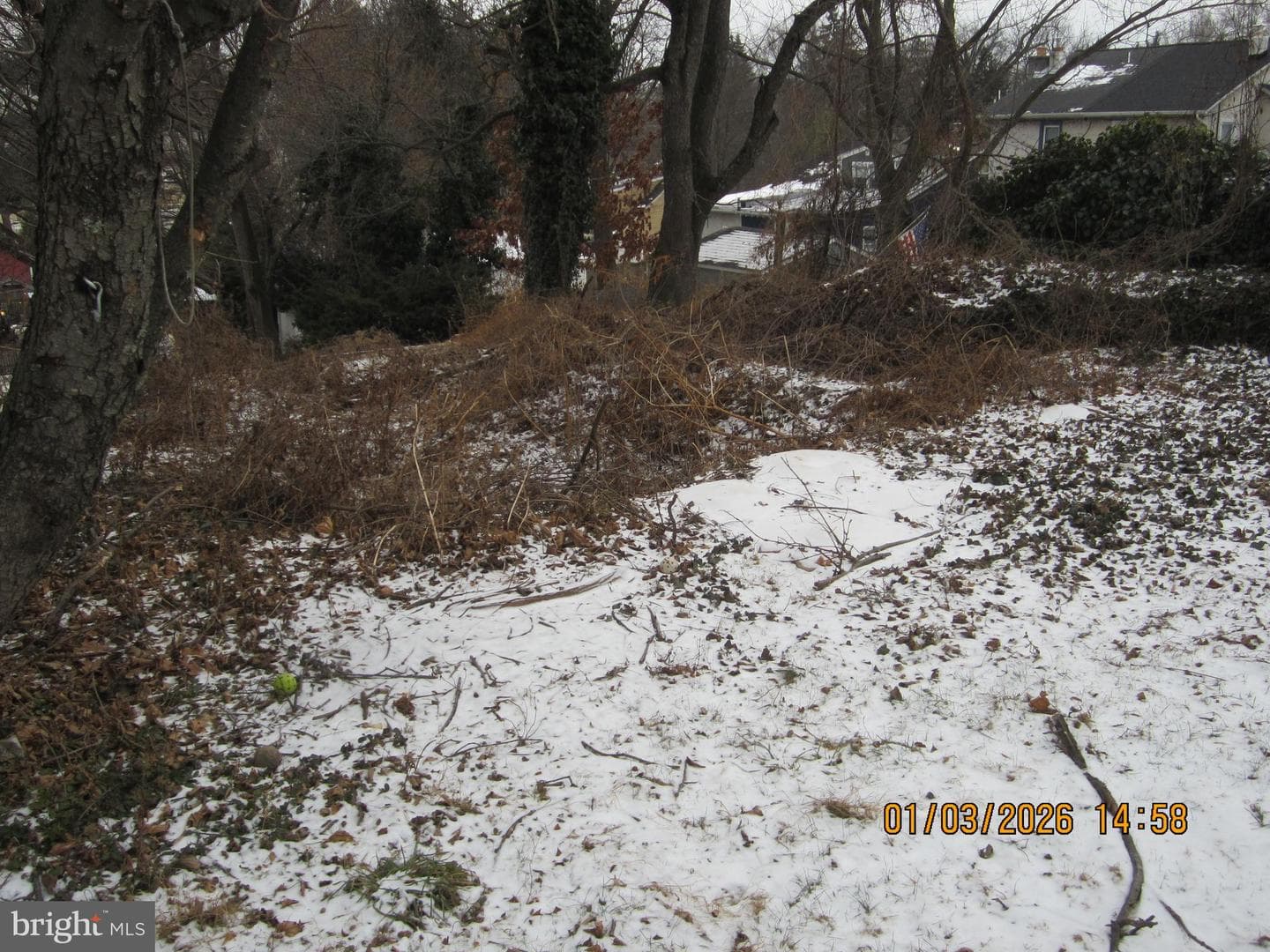 548 Jefferson Avenue photo 15