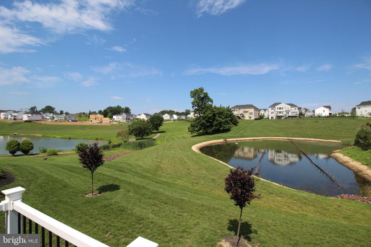12 Umbrell photo 43