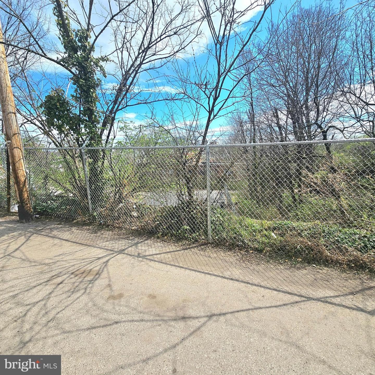 103 Pearl Street photo 12