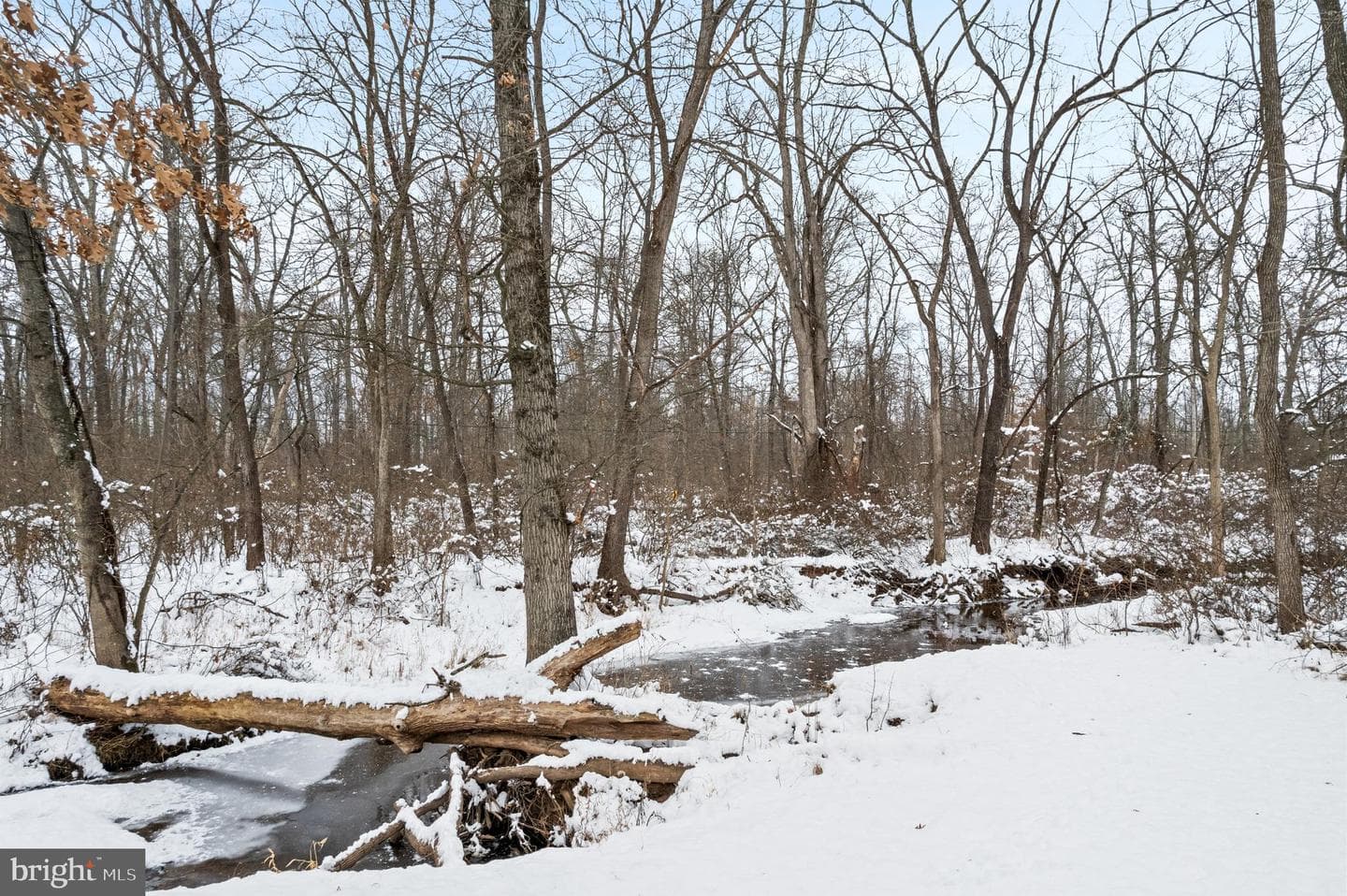 118 Middle Creek Road photo 73
